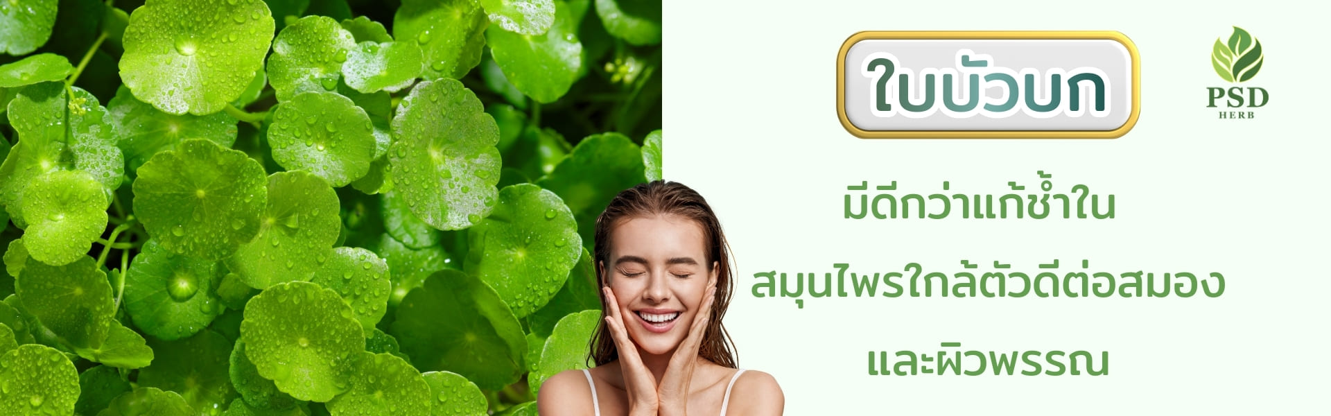 ใบบัวบก