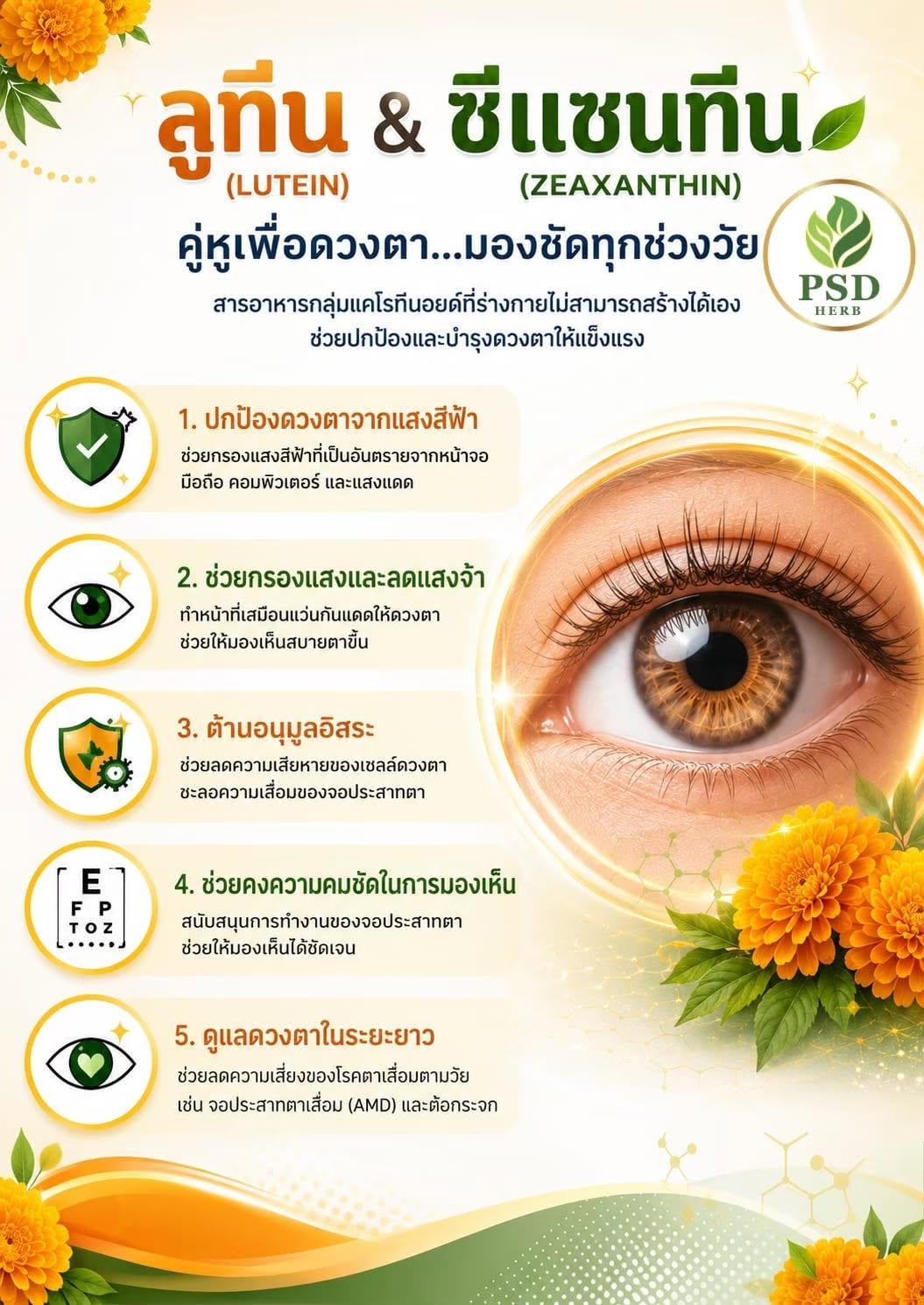 👁️ “รู้หรือไม่? ดวงตาก็ต้องการสารอาหารเพื่อการดูแลเช่นกัน”